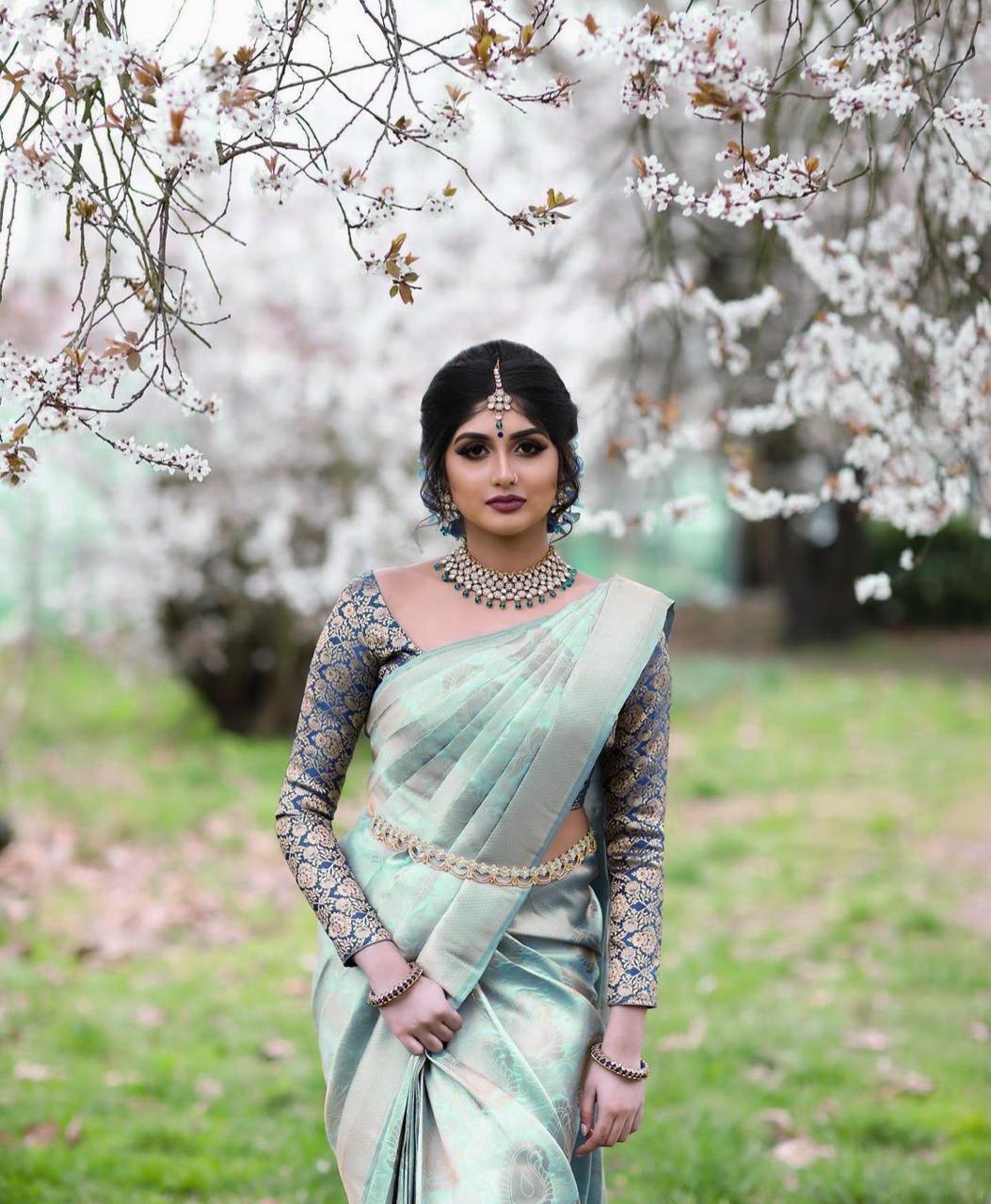 Kanchi Pattu Kanchipuram Silk Saree With Blouse