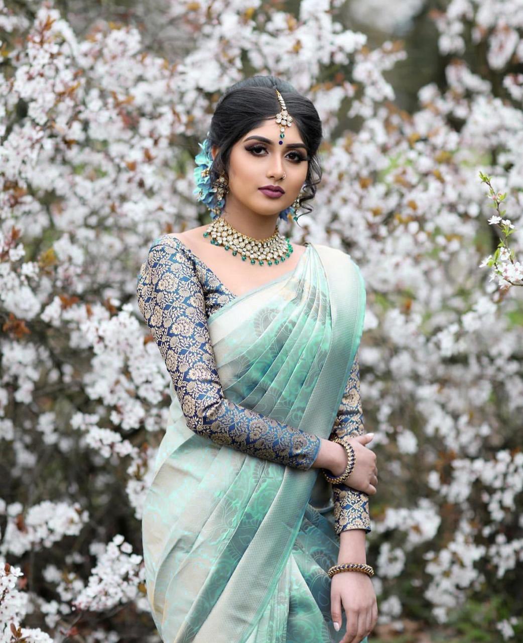 Kanchi Pattu Kanchipuram Silk Saree With Blouse