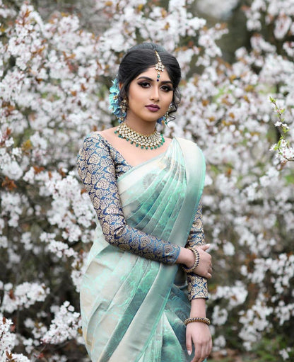 Kanchi Pattu Kanchipuram Silk Saree With Blouse