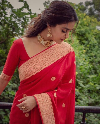 Red Kanjivaram Jacquard Silk Saree with Blouse